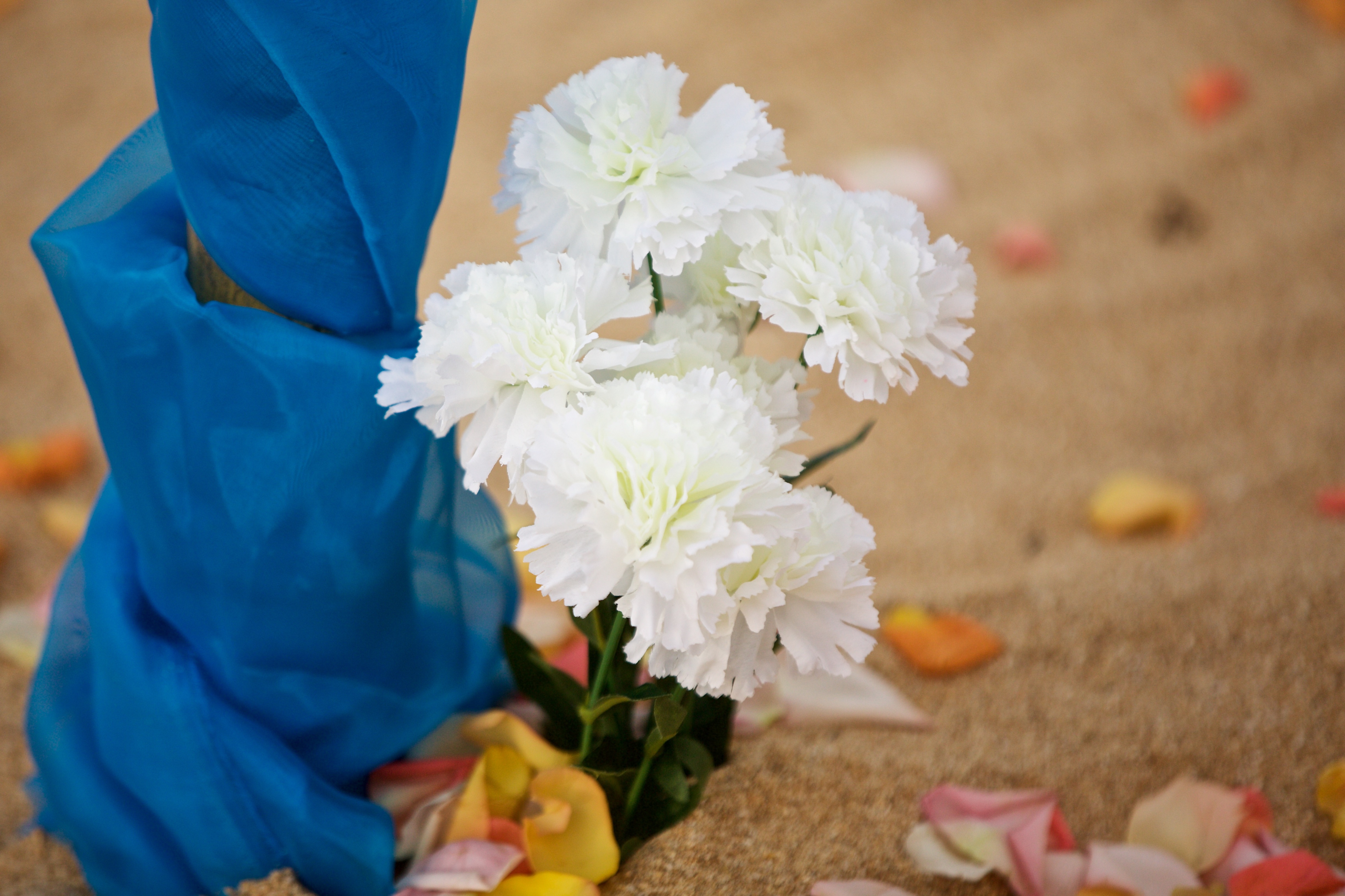 Beach Flower